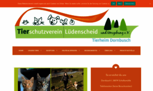 Tierheimdornbusch.de thumbnail