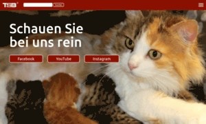 Tierschutzbund.ch thumbnail