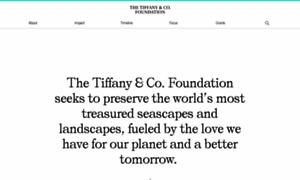 Tiffanyandcofoundation.org thumbnail