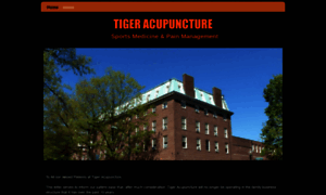 Tigeracupuncture.com thumbnail