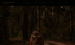 Tigersafariholidays.com thumbnail