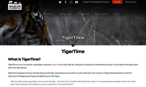 Tigertime.info thumbnail