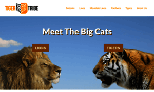 Tigertribe.net thumbnail