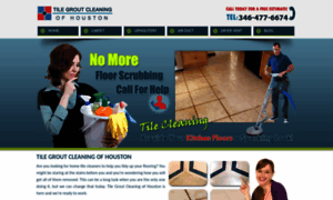 Tilegroutcleaningofhouston.com thumbnail