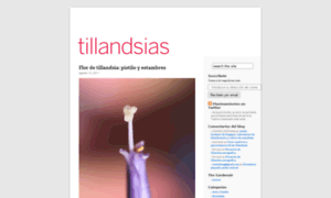 Tillandsias.wordpress.com thumbnail