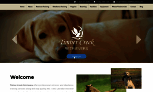 Timbercreekretrievers.com thumbnail