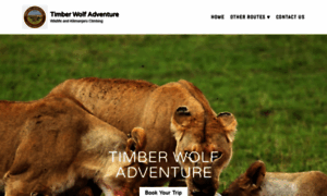 Timberwolfadventure.com thumbnail