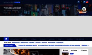 Timessquarehost.com thumbnail
