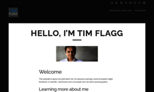 Timflagg.com thumbnail
