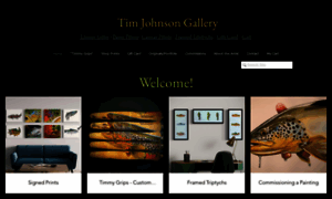 Timjohnsongallery.com thumbnail