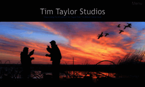Timtaylorstudios.com thumbnail