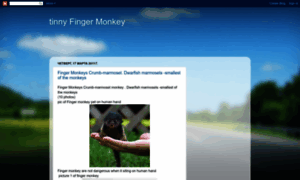 Tinnyfingermonkey.blogspot.com thumbnail