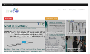 Tinycms.net thumbnail