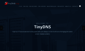 Tinydns.org thumbnail