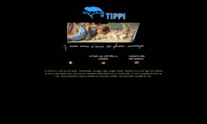 Tippi.org thumbnail