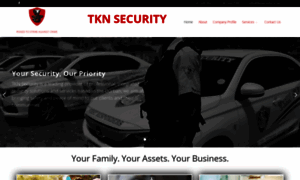 Tknsecurity.co.za thumbnail