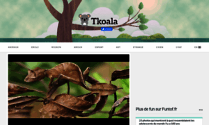 Tkoala.fr thumbnail