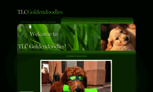 Tlcgoldendoodles.com thumbnail