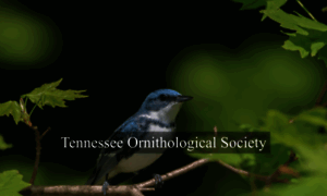 Tnbirds.org thumbnail