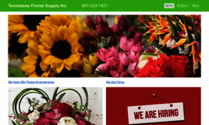 Tnfloristsupply.com thumbnail