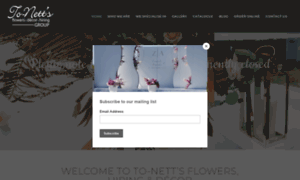 To-netts.co.za thumbnail