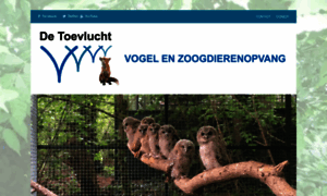 Toevlucht.nl thumbnail