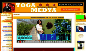 Togamedya.tr.gg thumbnail