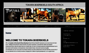 Tokaraboerboels.co.za thumbnail