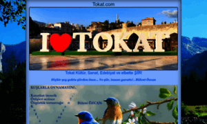 Tokat.com thumbnail