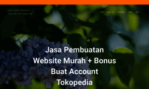 Tokoonlinemurahindonesia.com thumbnail