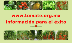 Tomate.org.mx thumbnail