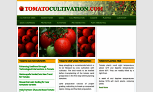 Tomatocultivation.com thumbnail