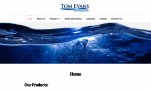 Tomevans.com thumbnail