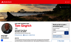 Tomgingrich.com thumbnail