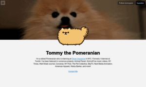 Tommypom.com thumbnail