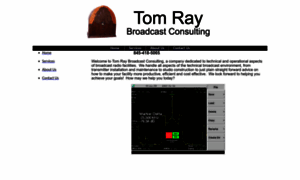 Tomrayconsulting.com thumbnail