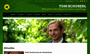 Toni-schuberl.de thumbnail