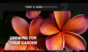 Tonyandsonsnurseries.com.au thumbnail