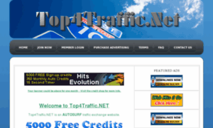 Top4traffic.net thumbnail