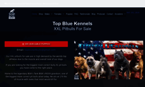 Topbluekennels.com thumbnail