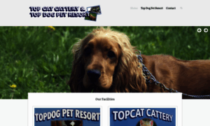 Topdogtopcat.com.au thumbnail