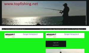 Topfishing.net thumbnail