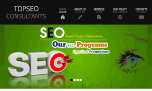 Topseoconsultants.biz thumbnail