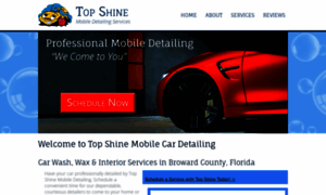 Topshineautodetailing.com thumbnail