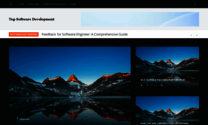Topsoftwaredevelopers.de thumbnail
