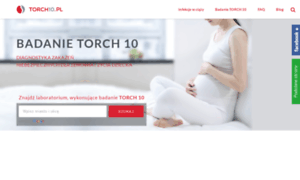 Torch10.pl thumbnail