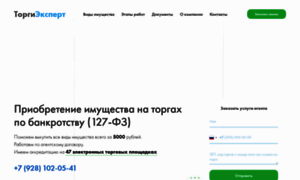 Torgi-expert.ru thumbnail