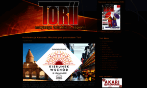 Torii.com.pl thumbnail
