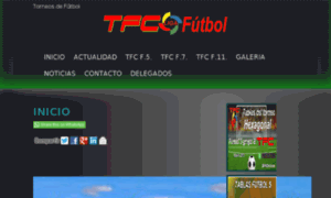 Torneosdefutbolcinco.com thumbnail