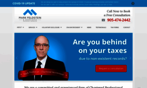 Toronto-accountant.ca thumbnail